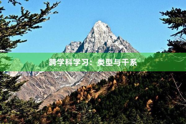 跨学科学习：类型与干系