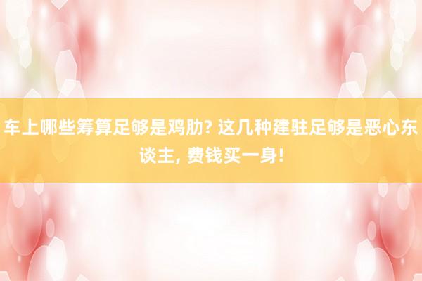 车上哪些筹算足够是鸡肋? 这几种建驻足够是恶心东谈主, 费钱买一身!