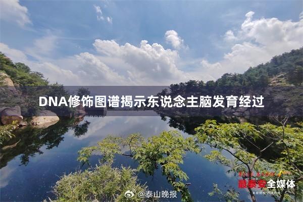 DNA修饰图谱揭示东说念主脑发育经过