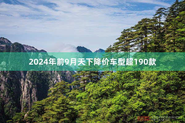 2024年前9月天下降价车型超190款