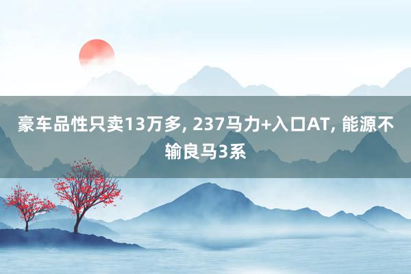 豪车品性只卖13万多, 237马力+入口AT, 能源不输良马3系