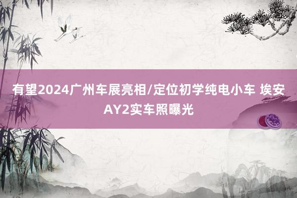 有望2024广州车展亮相/定位初学纯电小车 埃安AY2实车照曝光